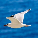 Photo taken by Tom L