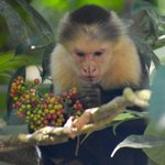 Photo taken by William R