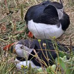 Photo taken by Ken J