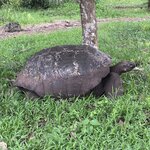 Photo taken by Norma G