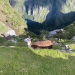 Photo taken by Amanda H