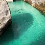 Photo taken by Danielle C