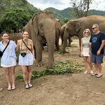 Photo taken by Dianne M