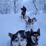 Photo taken by Paula S