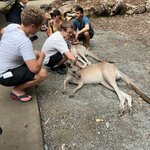 Photo taken by Jennifer H