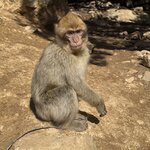 Photo taken by Mary Kate C