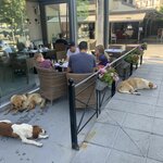 Photo taken by Diana N