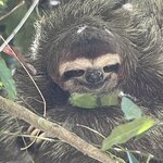 Photo taken by Bonnie Y