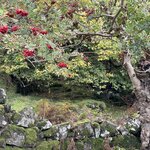 Photo taken by David L