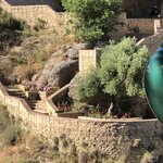 Photo taken by Diane B