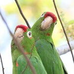 Photo taken by Joyce C