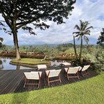 Photo taken by Jon P