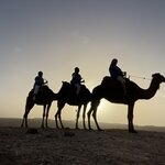 Photo taken by Victoria L