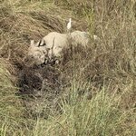 Photo taken by Meenakshi B