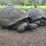 Photo taken by Mark A