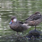 Photo taken by Patricia D