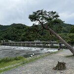 Photo taken by Nicoline v