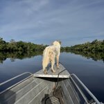 Photo taken by Emily H