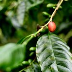 Photo taken by Chaitanya A