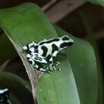 Photo taken by Wilbert A