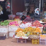 Photo taken by Bianca C