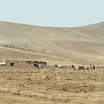 Photo taken by Leanne R