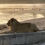 Photo taken by Joanne B