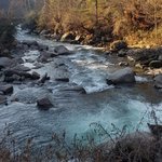 Photo taken by Amy S