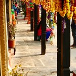 Photo taken by Greg C