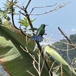 Photo taken by Martha G