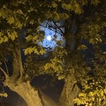 Photo taken by Patricia B