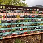 Photo taken by Kaya W