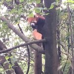 Photo taken by marianne d