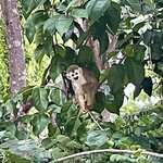 Photo taken by Julie G