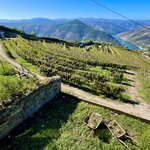 Photo taken by joe h