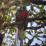 Photo taken by Kristen L