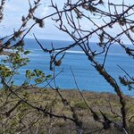 Photo taken by Jennifer A