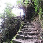 Stairway to Heaven | Photo taken by Kristin M