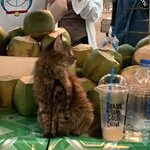 Photo taken by Shaula L