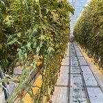 Photo taken by Michael S