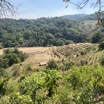 Photo taken by Kristen M