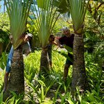 Photo taken by Kim G