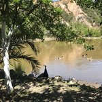 Photo taken by Victoria P