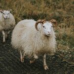 Photo taken by Jane V