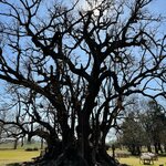 Photo taken by Lara S