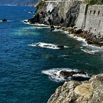 Photo taken by Marianne B