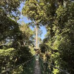 Photo taken by Edit M