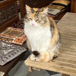 Photo taken by Elizabeth S