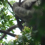 Photo taken by Brett F