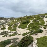 Photo taken by Amy Z